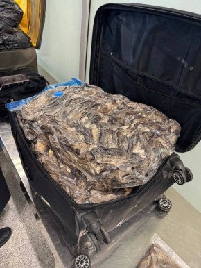    :    ,      ,       7  !