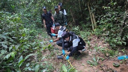       ,  ,                    ,  ...