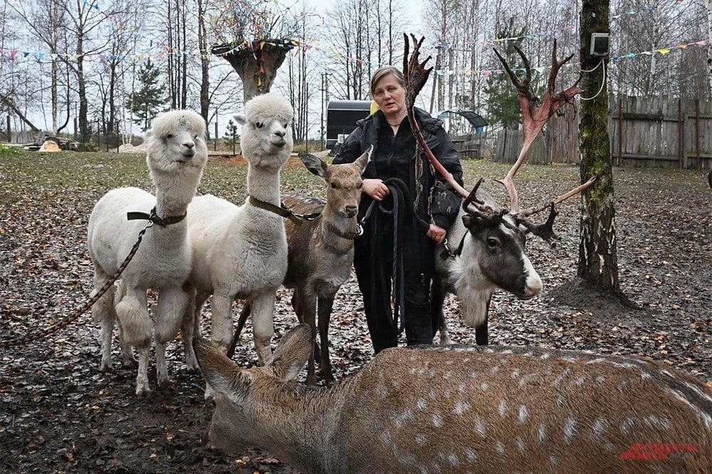 Смеялся над Стояновым и пугал Гармаша Смеялся над Стояновым и пугал Гармаша