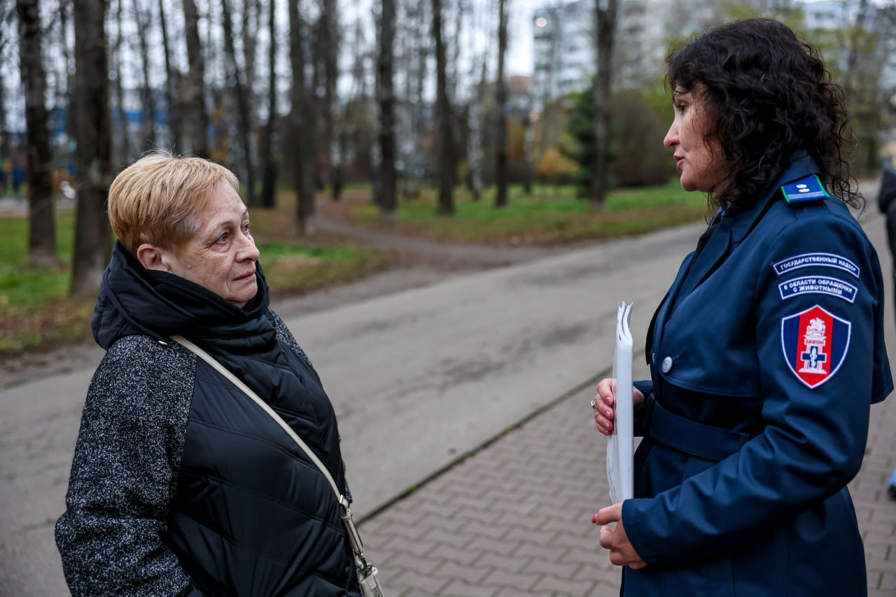 В мытищинском парке провели мероприятие по соблюдению правил выгула собак В мытищинском парке провели мероприятие по соблюдению правил выгула собак