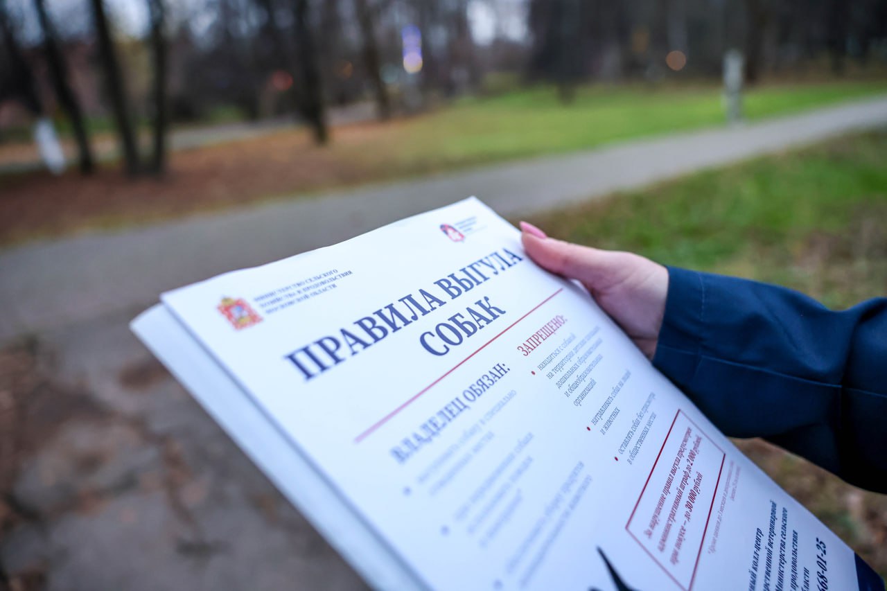 В мытищинском парке провели мероприятие по соблюдению правил выгула собак В мытищинском парке провели мероприятие по соблюдению правил выгула собак