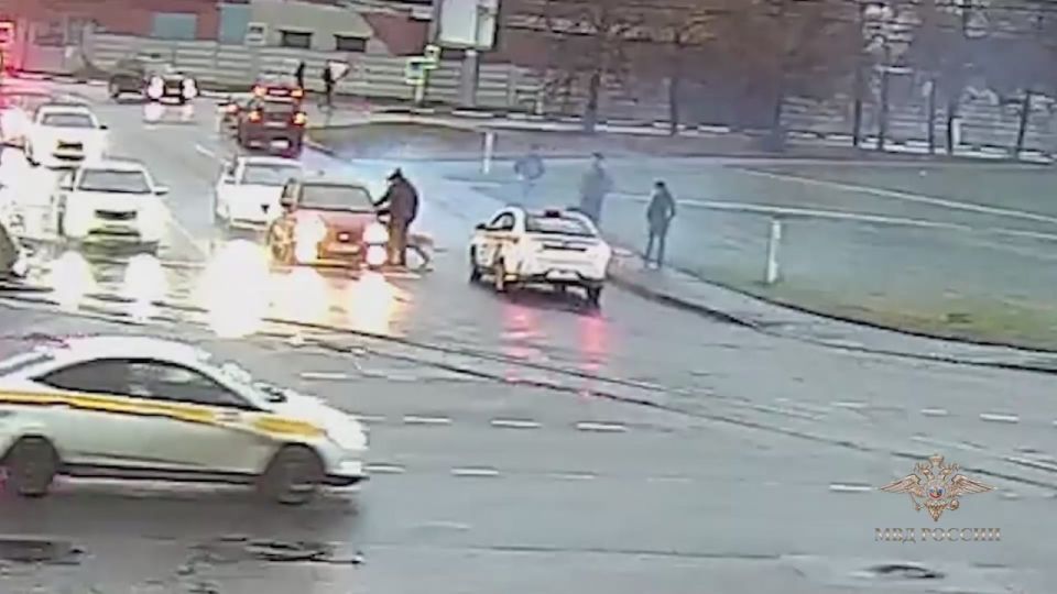 Ирина Волк: В Московской области мой коллега – полицейский-кинолог отдельной роты патрульно-постовой службы полиции ОМВД России по г.о. Жуковский старший сержант полиции Степан Шумов – оказал помощь водителю, которому стало...