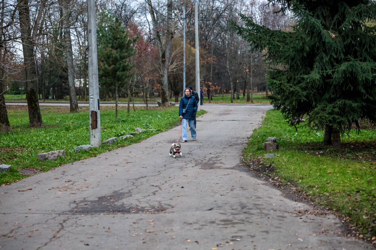 В мытищинском парке провели мероприятие по соблюдению правил выгула собак В мытищинском парке провели мероприятие по соблюдению правил выгула собак