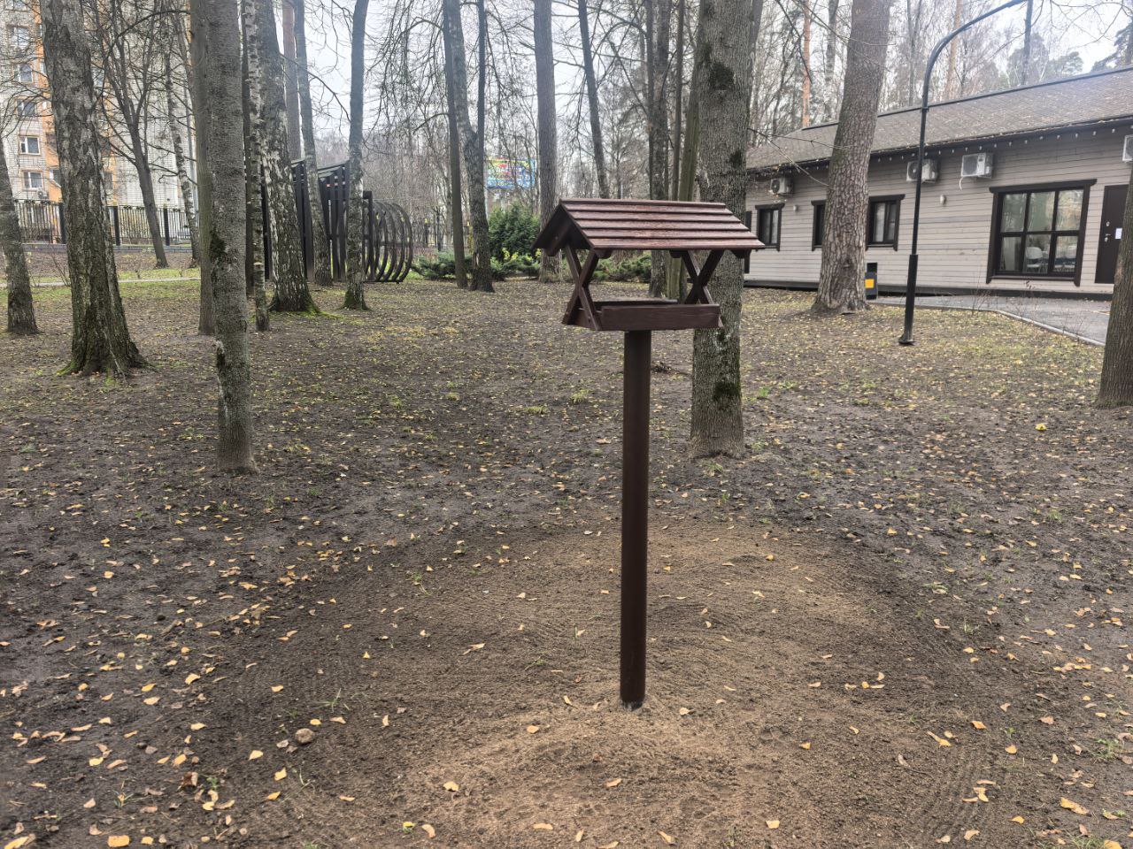 В Центральном городском парке прошла экоакция «Синичкин день»