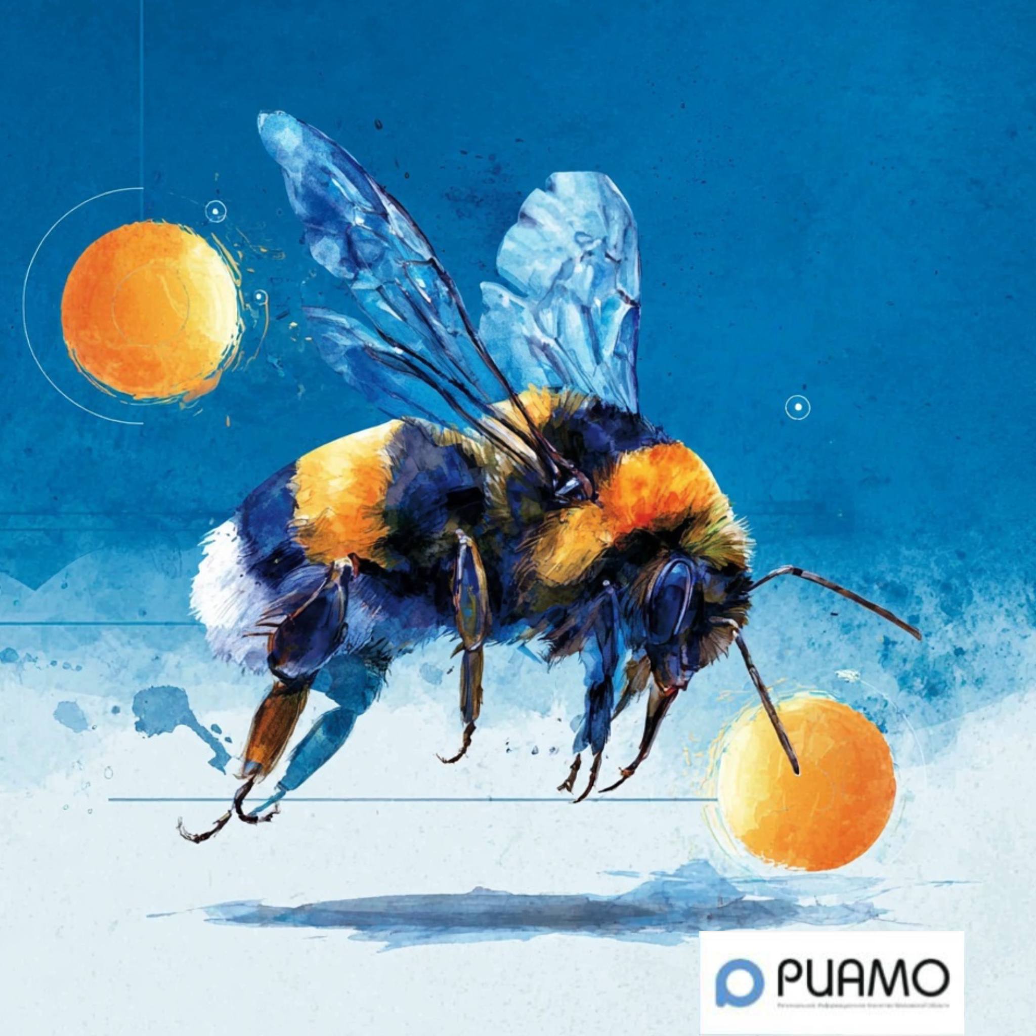 Ученые выяснили, что шмели умеют чувствовать время