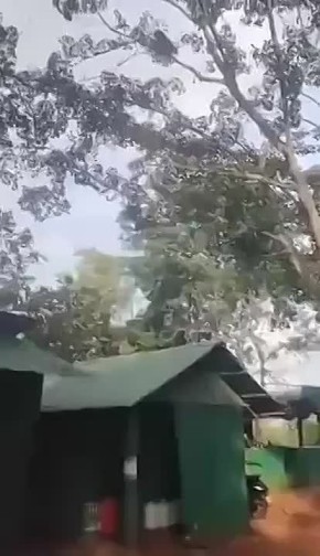       ,      ,   ,     ,     ,          ...