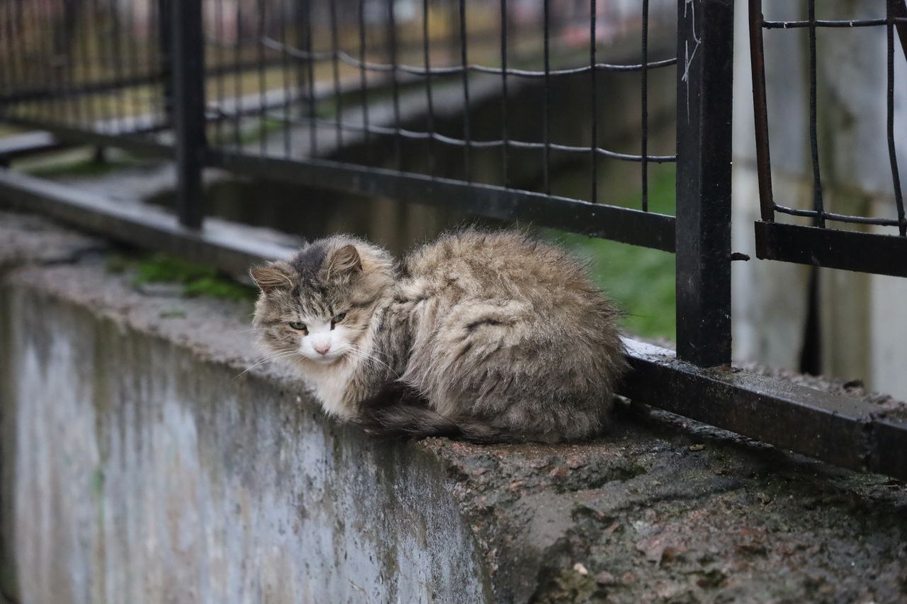 Рейды оперативной группы по благоустройству идут на пользу улицам Серпухова Рейды оперативной группы по благоустройству идут на пользу улицам Серпухова