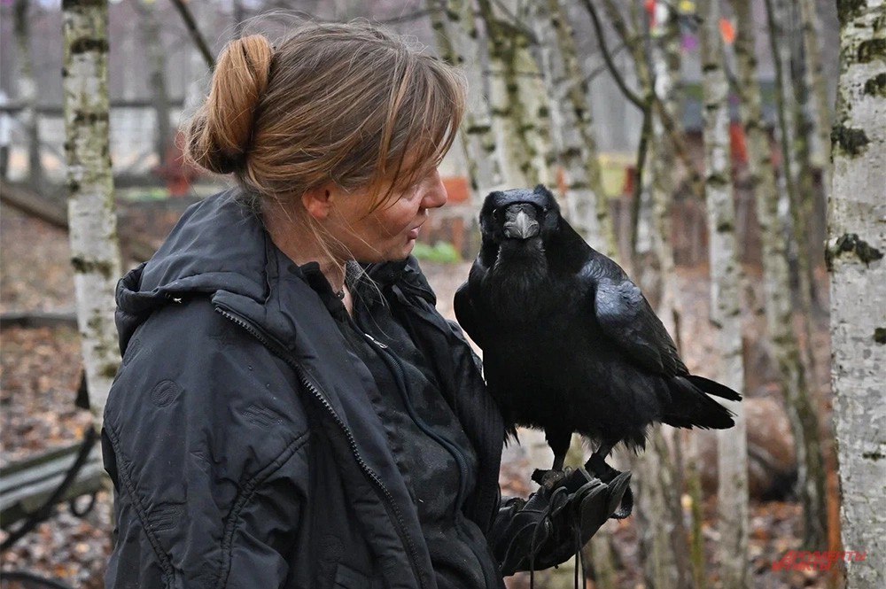 Смеялся над Стояновым и пугал Гармаша Смеялся над Стояновым и пугал Гармаша