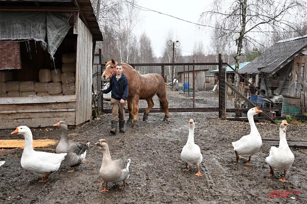 Смеялся над Стояновым и пугал Гармаша Смеялся над Стояновым и пугал Гармаша
