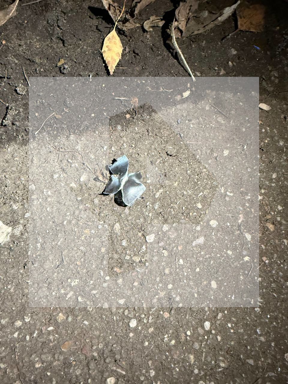 До 10 грамм взрывчатки в тротиловом эквиваленте, предположительно, было в устройстве, которое разорвало мальчику кисть в подмосковном Красногорске До 10 грамм взрывчатки в тротиловом эквиваленте, предположительно, было в устройстве, которое разорвало мальчику кисть в подмосковном Красногорске