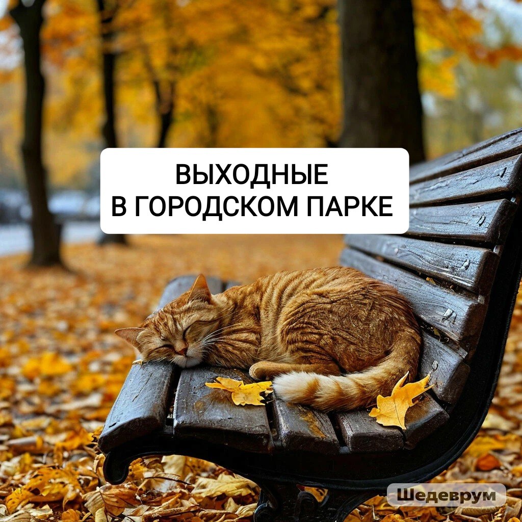 Выходные в Городском парке