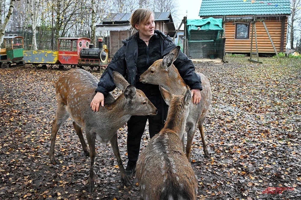 Смеялся над Стояновым и пугал Гармаша Смеялся над Стояновым и пугал Гармаша