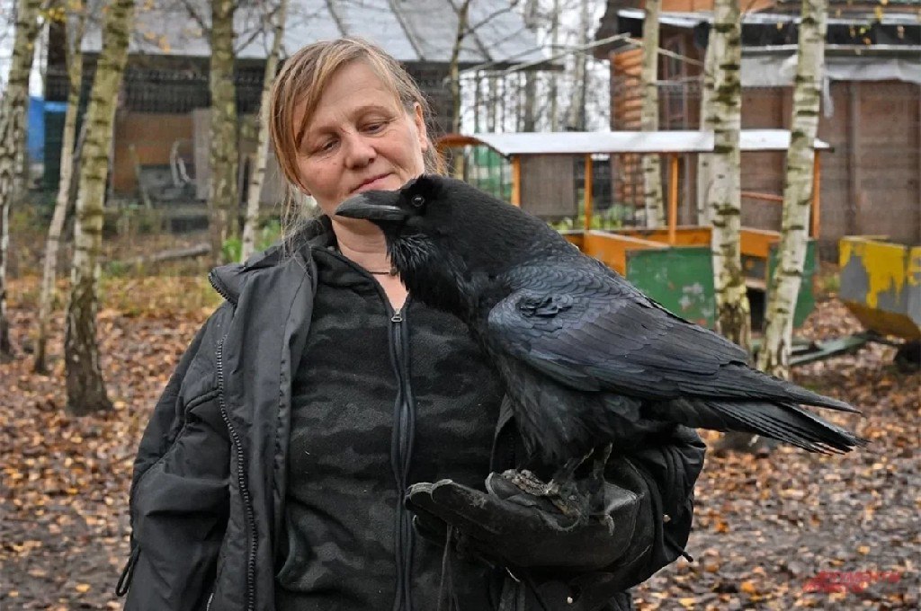 Смеялся над Стояновым и пугал Гармаша