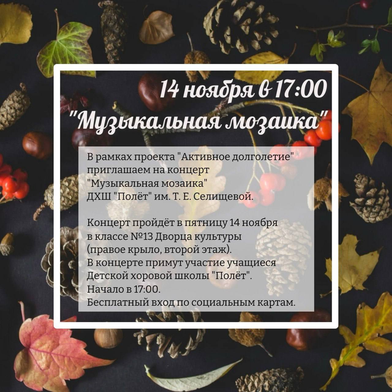 В рамках проекта «Активное долголетие» Детская хоровая школа «Полет» им. Т.Е. Селищевой приглашает женщин 55+ и мужчин 60+ на концерт «Музыкальная мозаика»