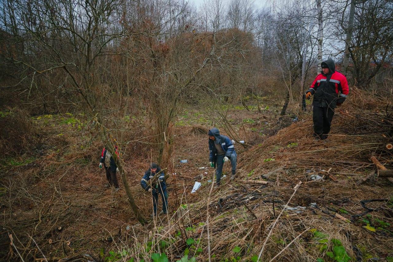 В Сергиево-Посадском округе началась очистка притока реки Кончуры В Сергиево-Посадском округе началась очистка притока реки Кончуры