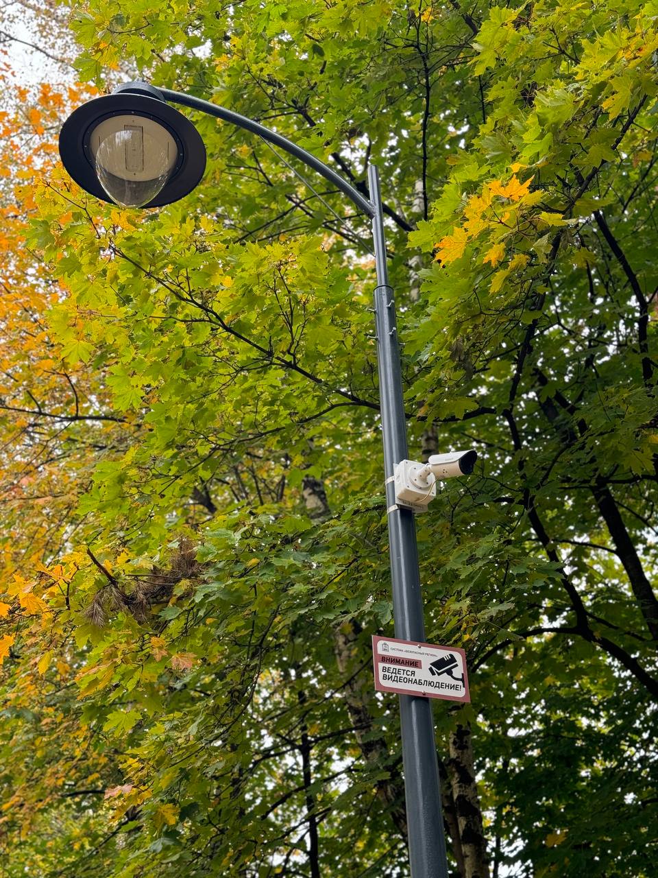 Монтаж кровли арт-объекта «Летний театр» начался в парке Малаховки Монтаж кровли арт-объекта «Летний театр» начался в парке Малаховки