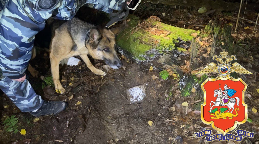 В Ленинском округе полицейскими задержан наркокурьер с партией наркотиков в особо крупном размере В Ленинском округе полицейскими задержан наркокурьер с партией наркотиков в особо крупном размере