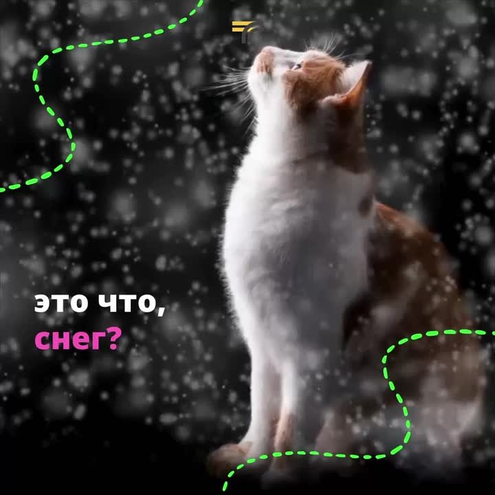 Зима на пороге. В выходные нас ждёт мокрый снег и гололедица