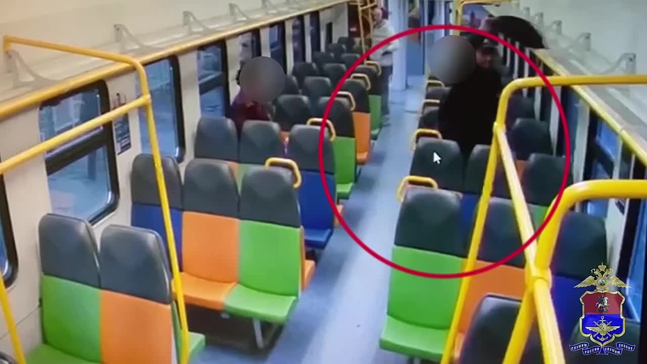 Оперативниками транспортной полиции раскрыта кража личных вещей пассажира, совершенная в подмосковной электричке