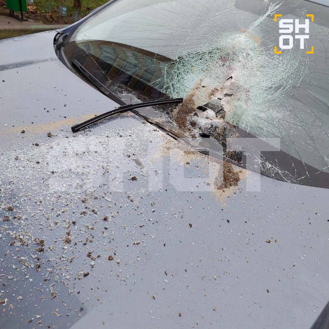 Начальника участка, курировавшего снос «Снежкома», задержали Начальника участка, курировавшего снос «Снежкома», задержали