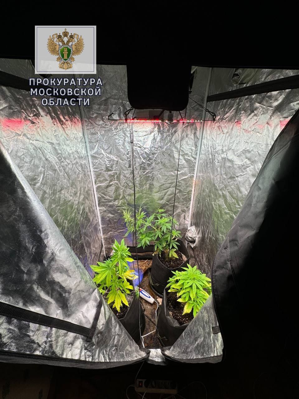 В Видном за преступления в сфере незаконного оборота наркотиков осужден рэп-исполнитель Никита Вартиков В Видном за преступления в сфере незаконного оборота наркотиков осужден рэп-исполнитель Никита Вартиков