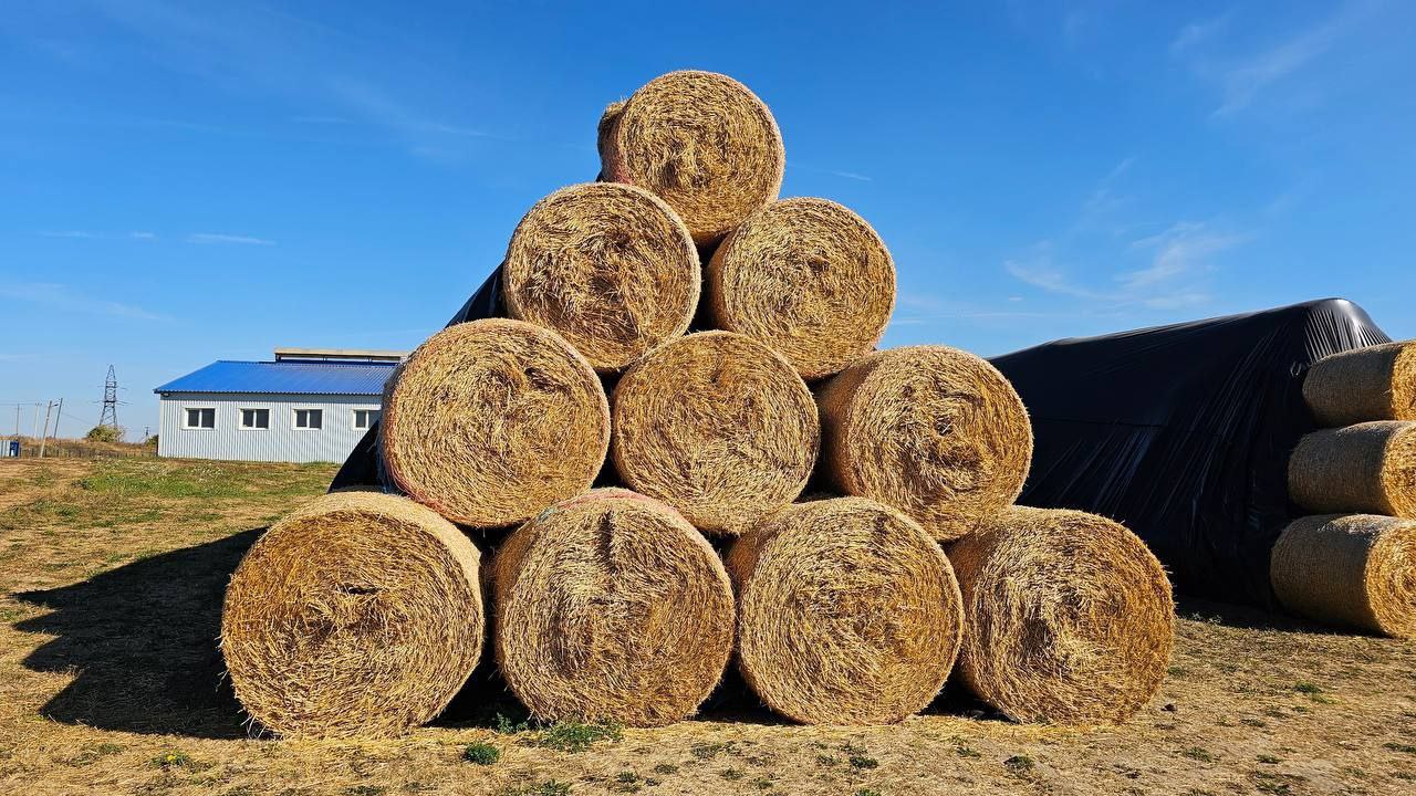 В озёрском агрохолдинге «ОСП агро» подвели итоги сельскохозяйственного сезона В озёрском агрохолдинге «ОСП агро» подвели итоги сельскохозяйственного сезона