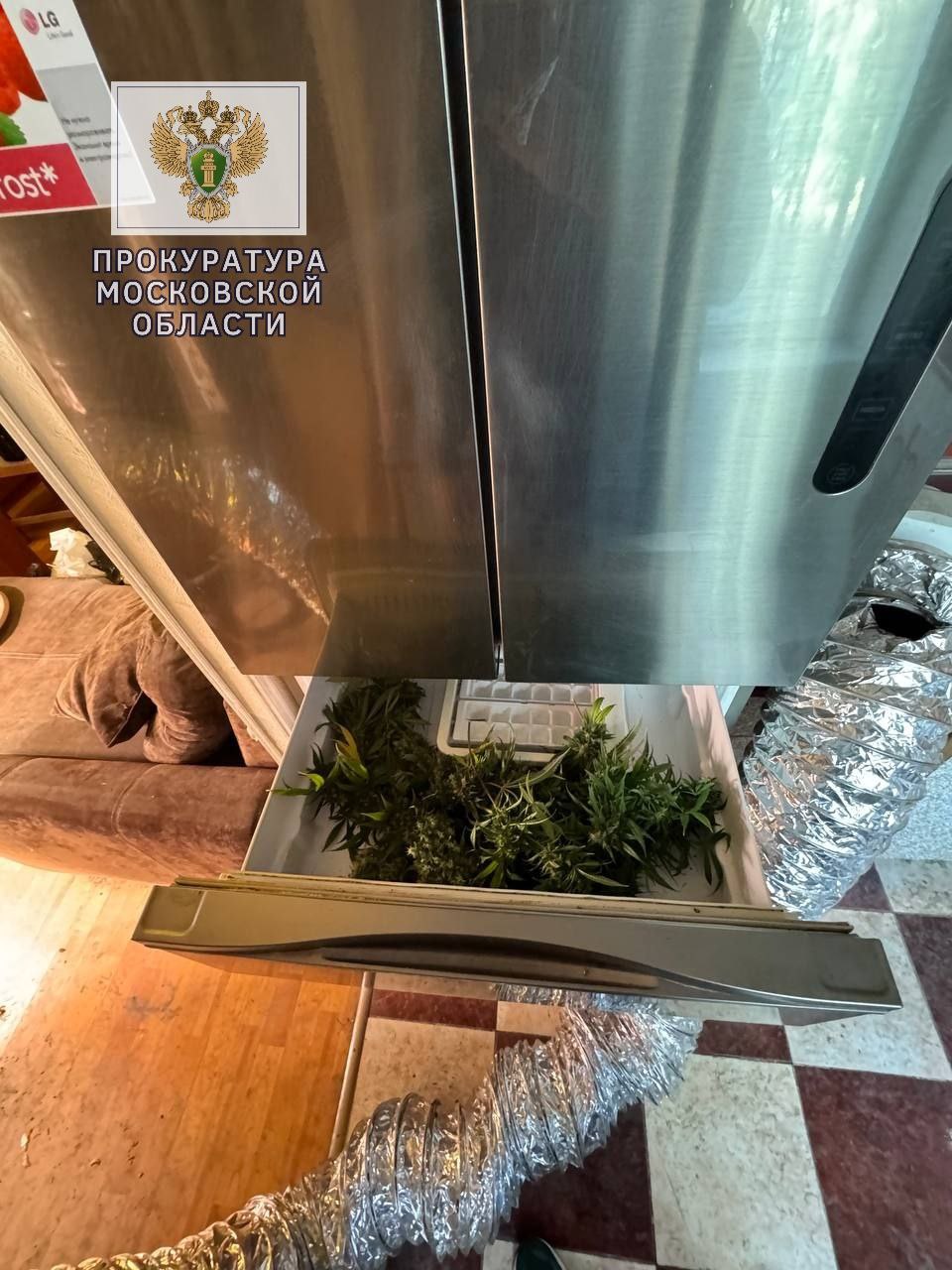 В Видном за преступления в сфере незаконного оборота наркотиков осужден рэп-исполнитель Никита Вартиков В Видном за преступления в сфере незаконного оборота наркотиков осужден рэп-исполнитель Никита Вартиков