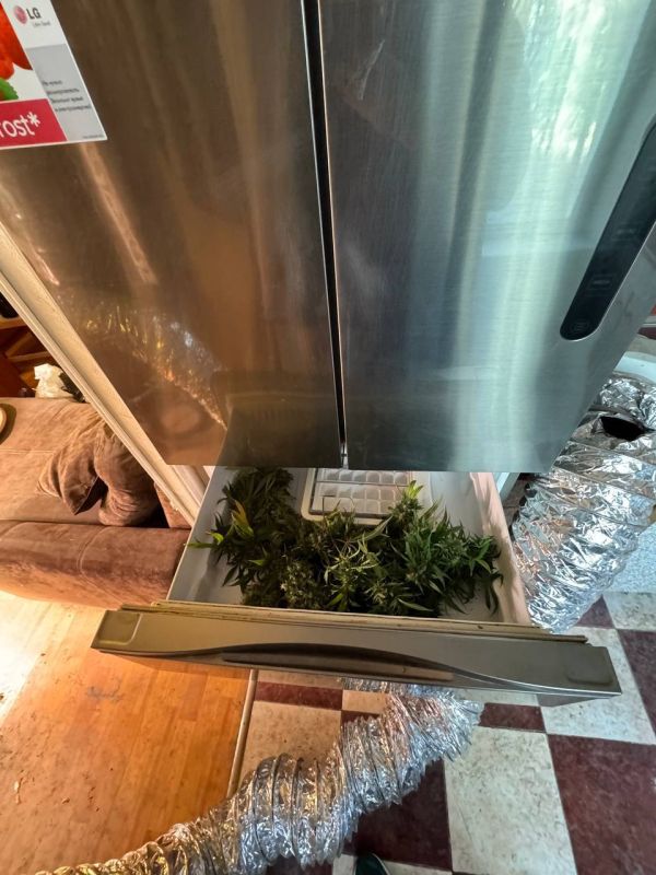 Рэпера Никиту Вартикова, известного как Obe1Kanobe, суд в Подмосковье приговорил к восьми годам колонии строгого режима