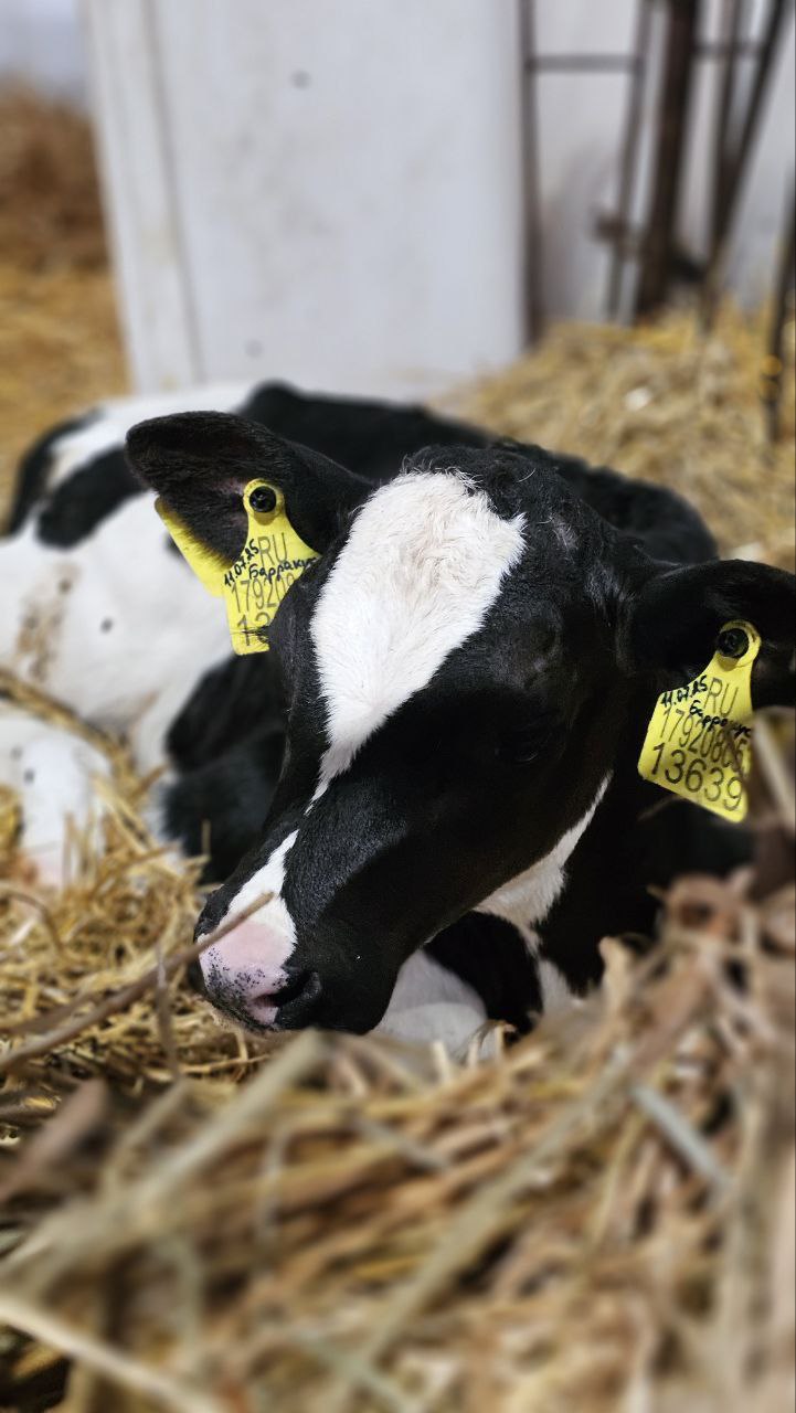 В озёрском агрохолдинге «ОСП агро» подвели итоги сельскохозяйственного сезона В озёрском агрохолдинге «ОСП агро» подвели итоги сельскохозяйственного сезона