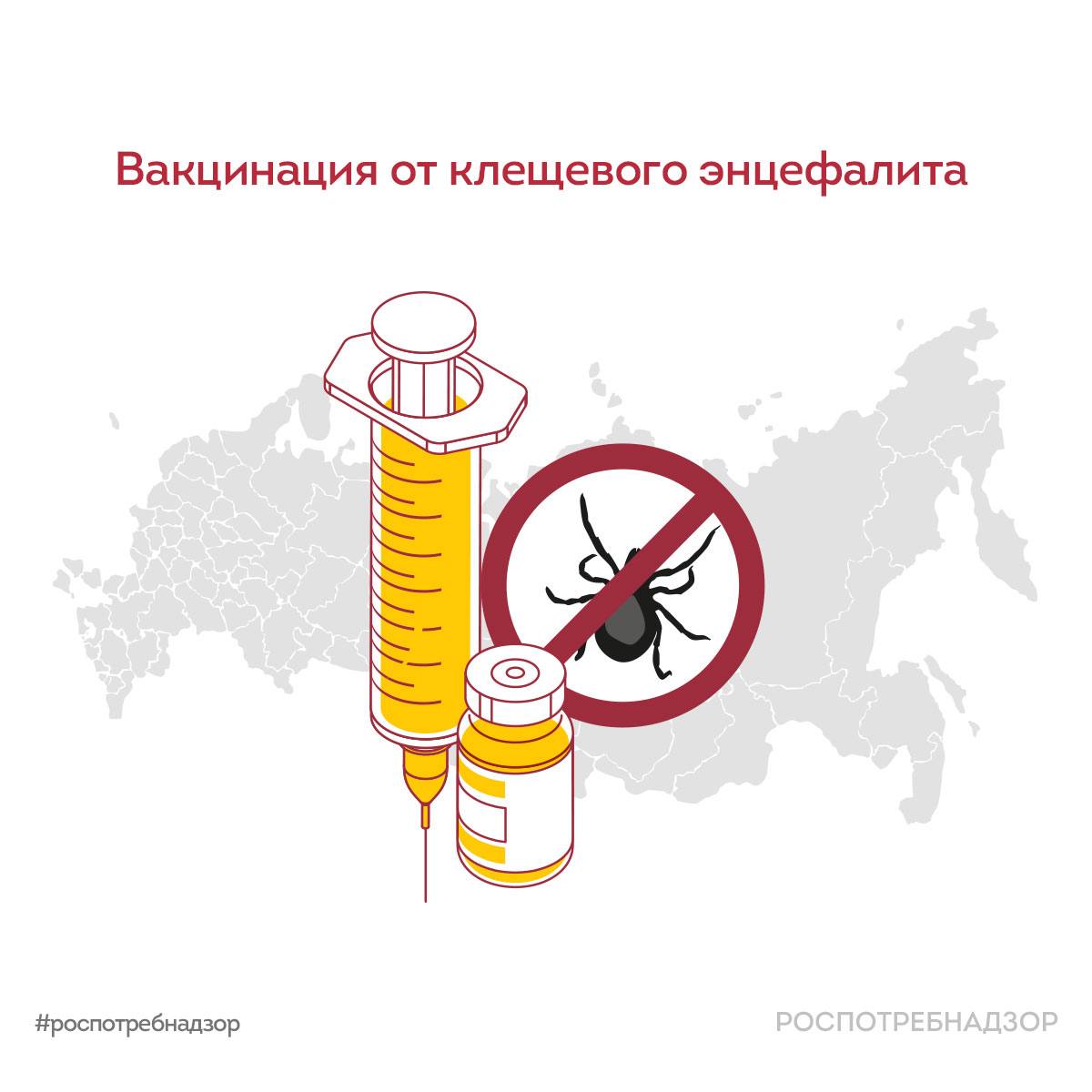 Вакцинация от клещевого энцефалита