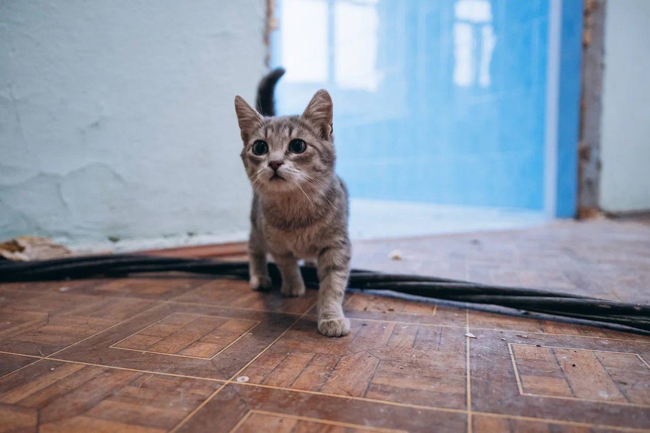 Школу № 27 в селе Трубино тоже ждут большие перемены! Школу № 27 в селе Трубино тоже ждут большие перемены!