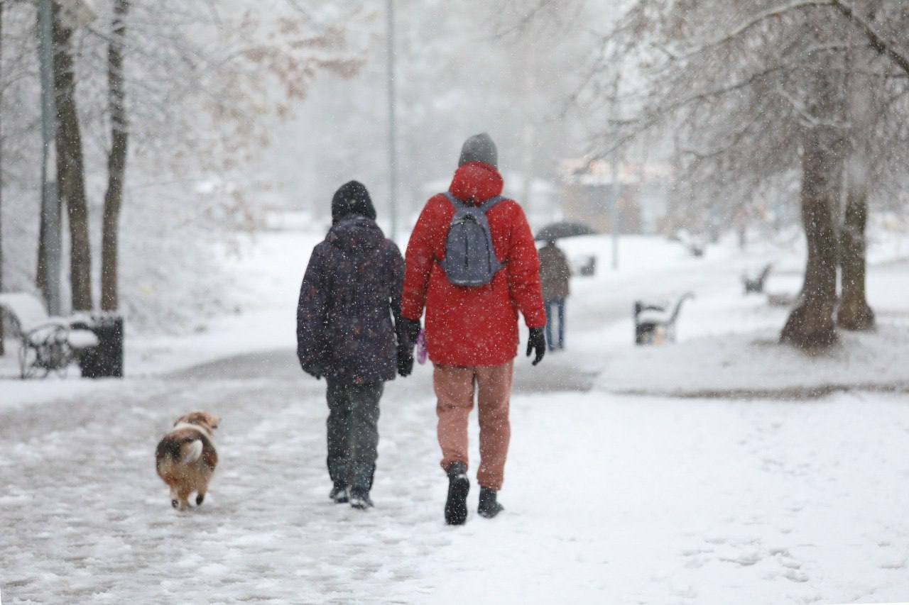 В Долгопрудный пришла зимняя сказка В Долгопрудный пришла зимняя сказка