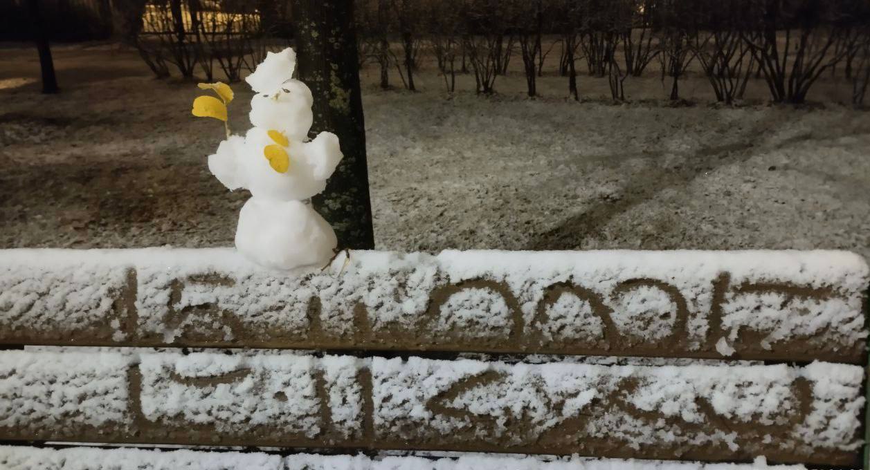 Первый снег пришел Москву с опозданием на месяц: Первый снег пришел Москву с опозданием на месяц: