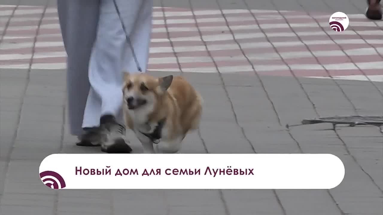 Игорь Сухин: Очень добрая и счастливая история