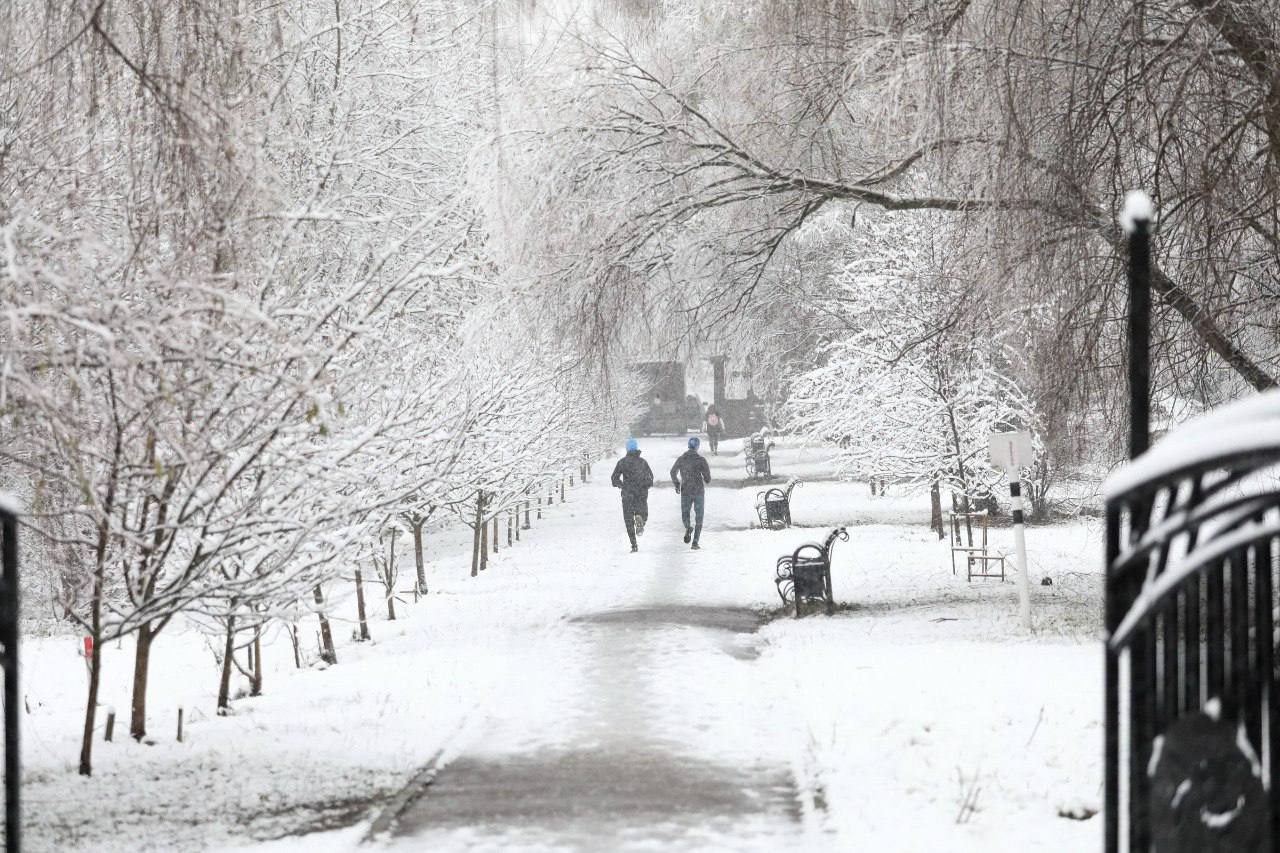 В Долгопрудный пришла зимняя сказка В Долгопрудный пришла зимняя сказка