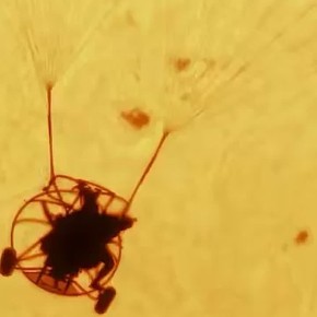 Американский фотограф Эндрю МакКарти снял парашютиста на фоне яркого солнца — SHOT