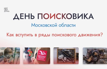 Поисковики Московской области провели в 2025 году более 300 экспедиций, были обнаружены останки 550 воинов