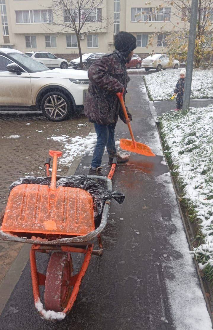 Первый снег появился – и вместе с ним на уборку вышли коммунальные службы