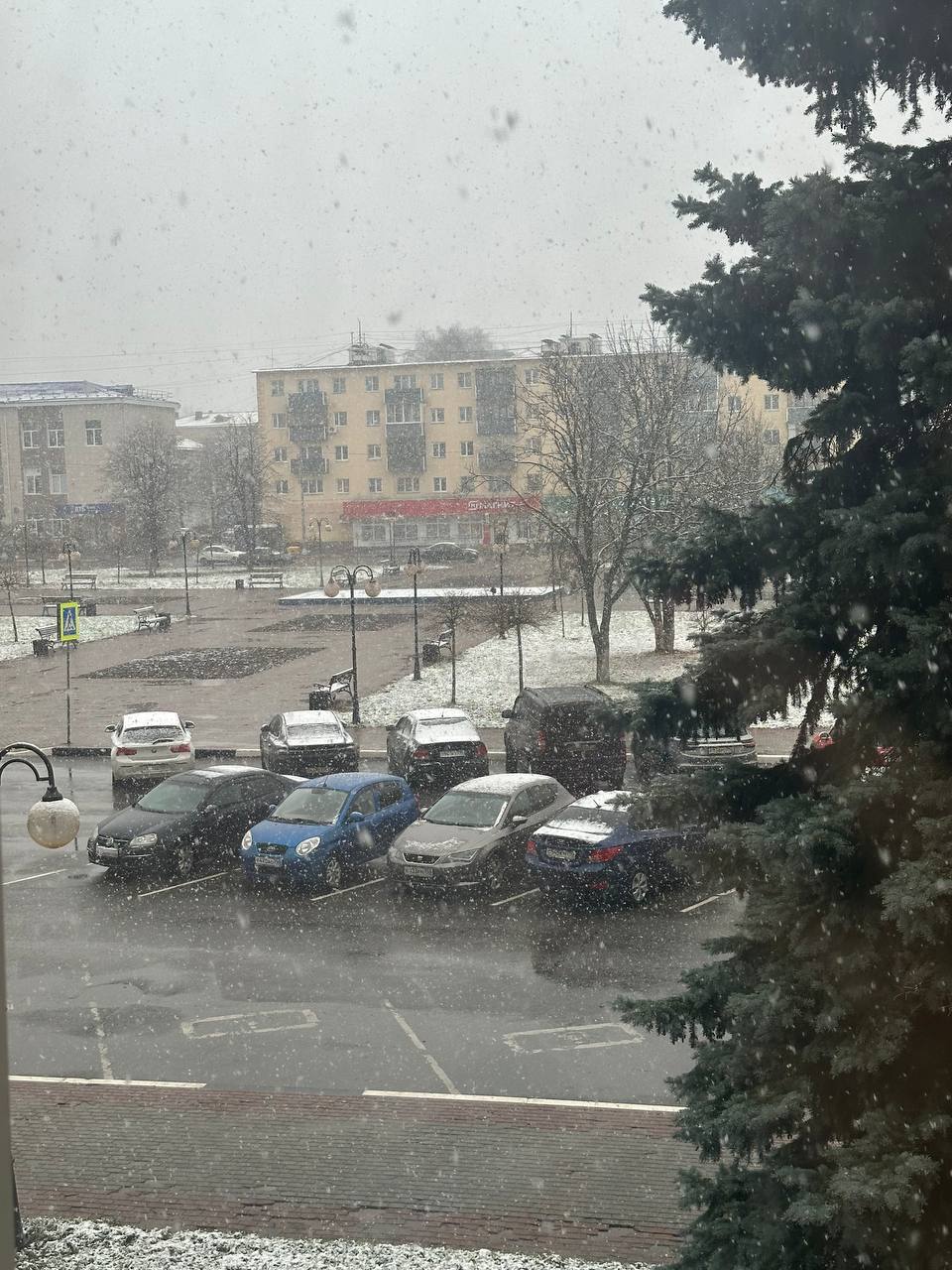 В Серпухове предпринимателей предупредили об ответственности за некачественную уборку