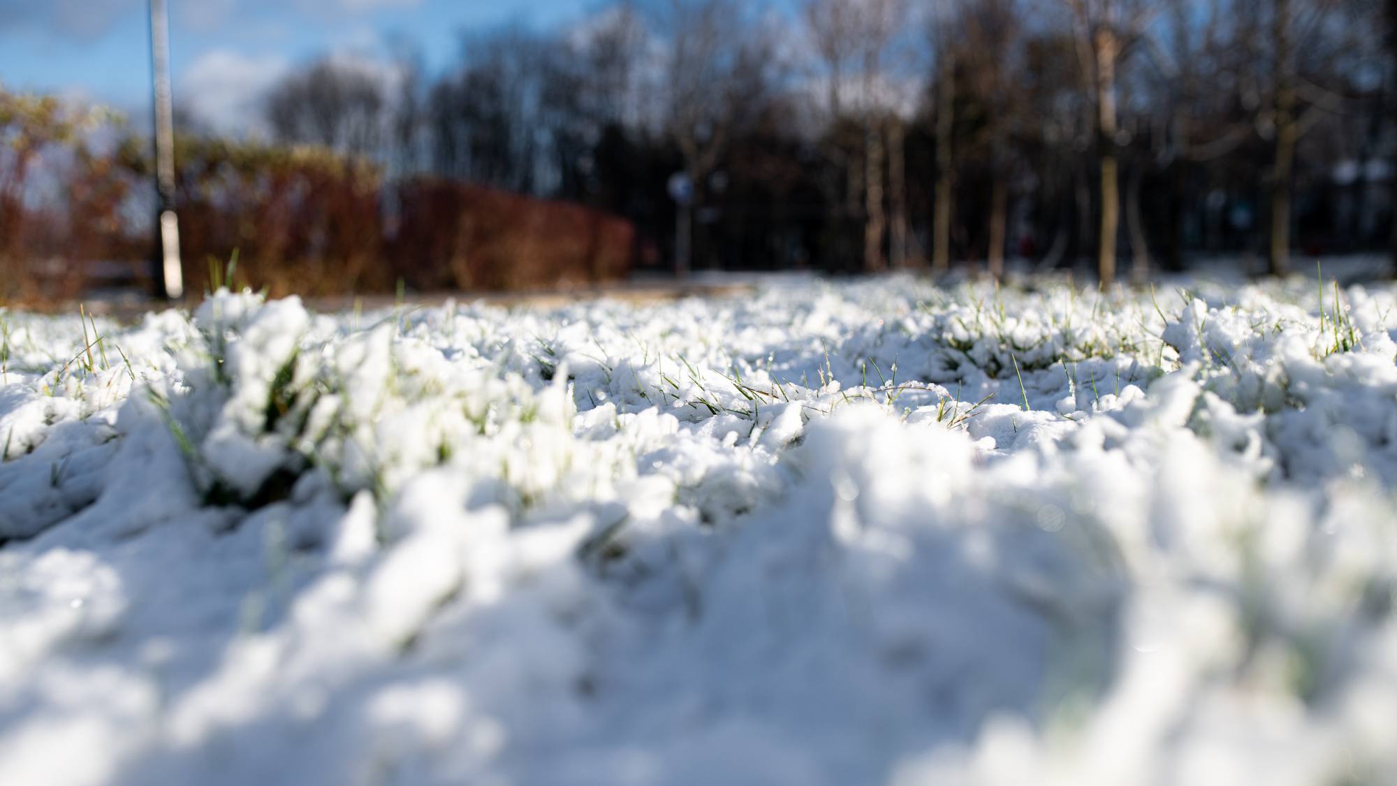 Первый снег взят под контроль!