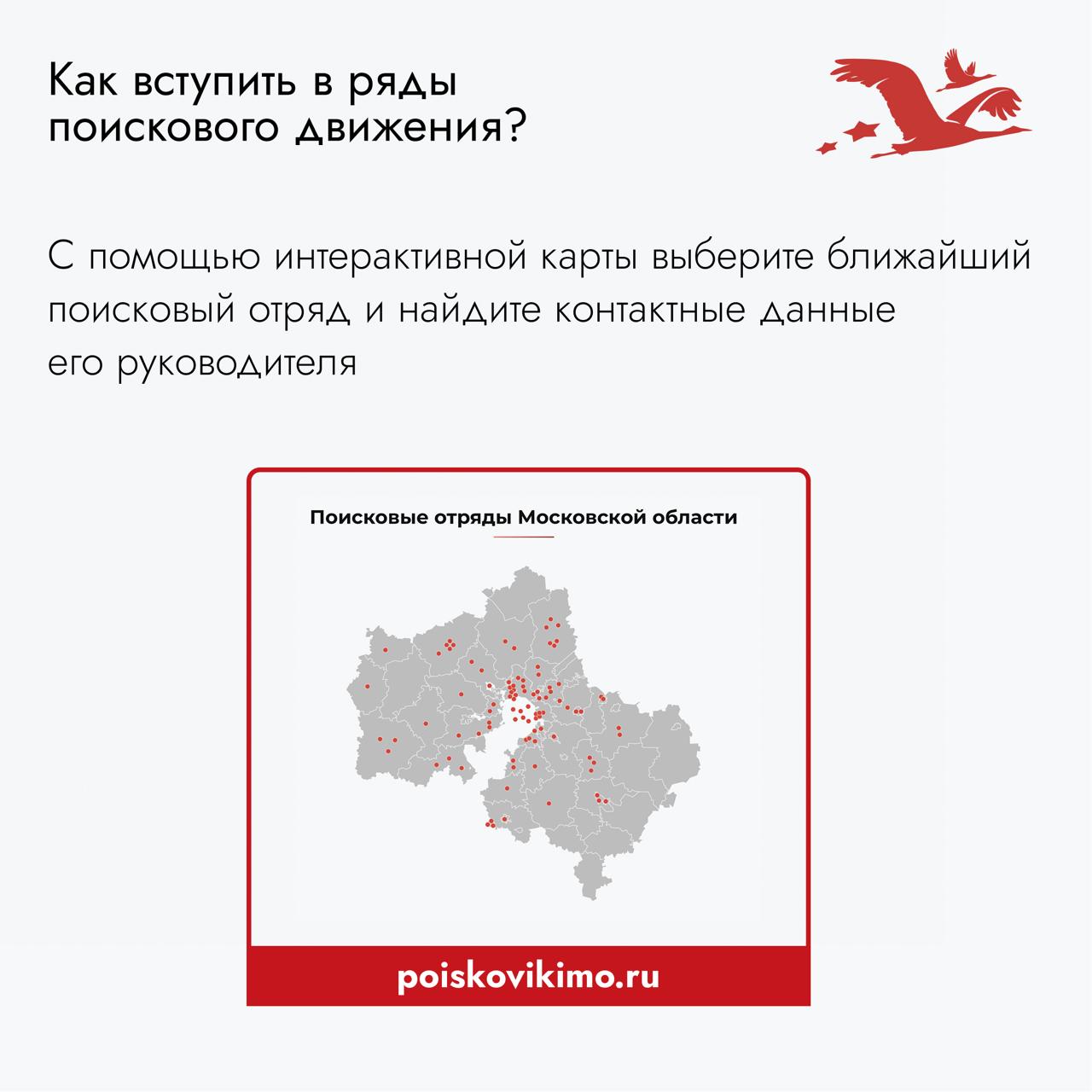 Поисковики Московской области провели в 2025 году более 300 экспедиций, были обнаружены останки 550 воинов Поисковики Московской области провели в 2025 году более 300 экспедиций, были обнаружены останки 550 воинов