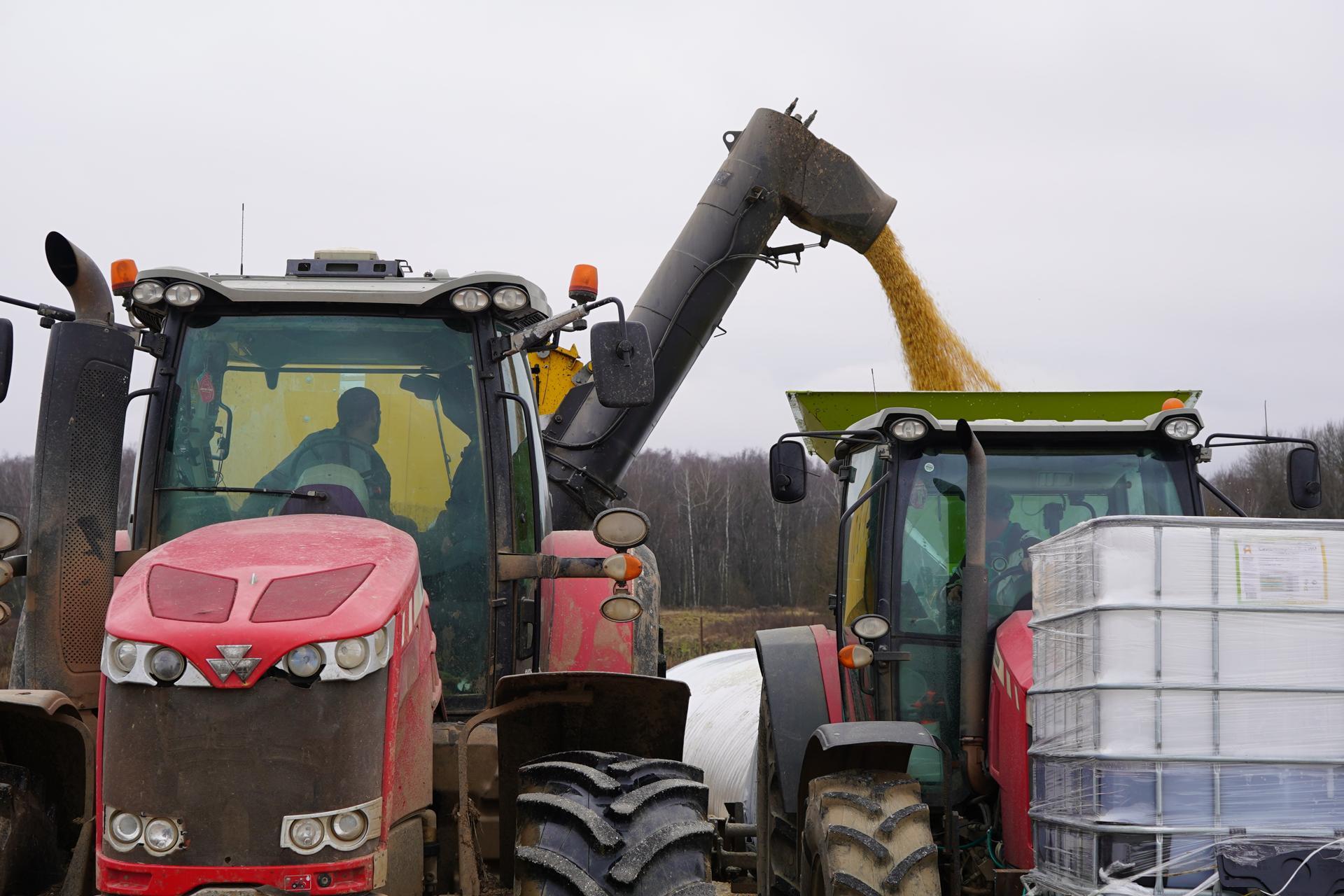 В «Ступинской Ниве» завершают работу на полях, сбор и сушку кукурузы В «Ступинской Ниве» завершают работу на полях, сбор и сушку кукурузы