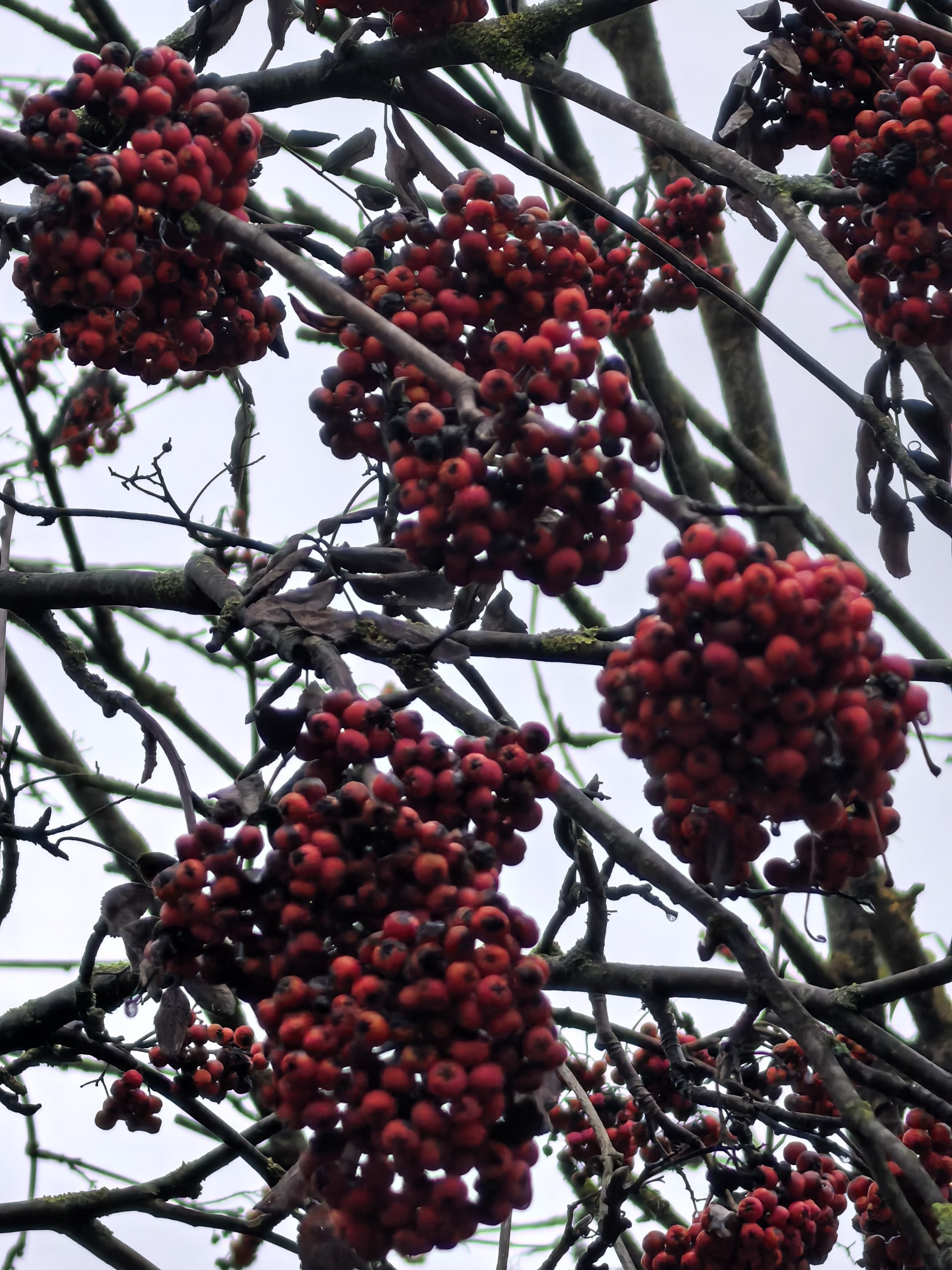 Праздничный концерт «Четверть века с песней» Праздничный концерт «Четверть века с песней»