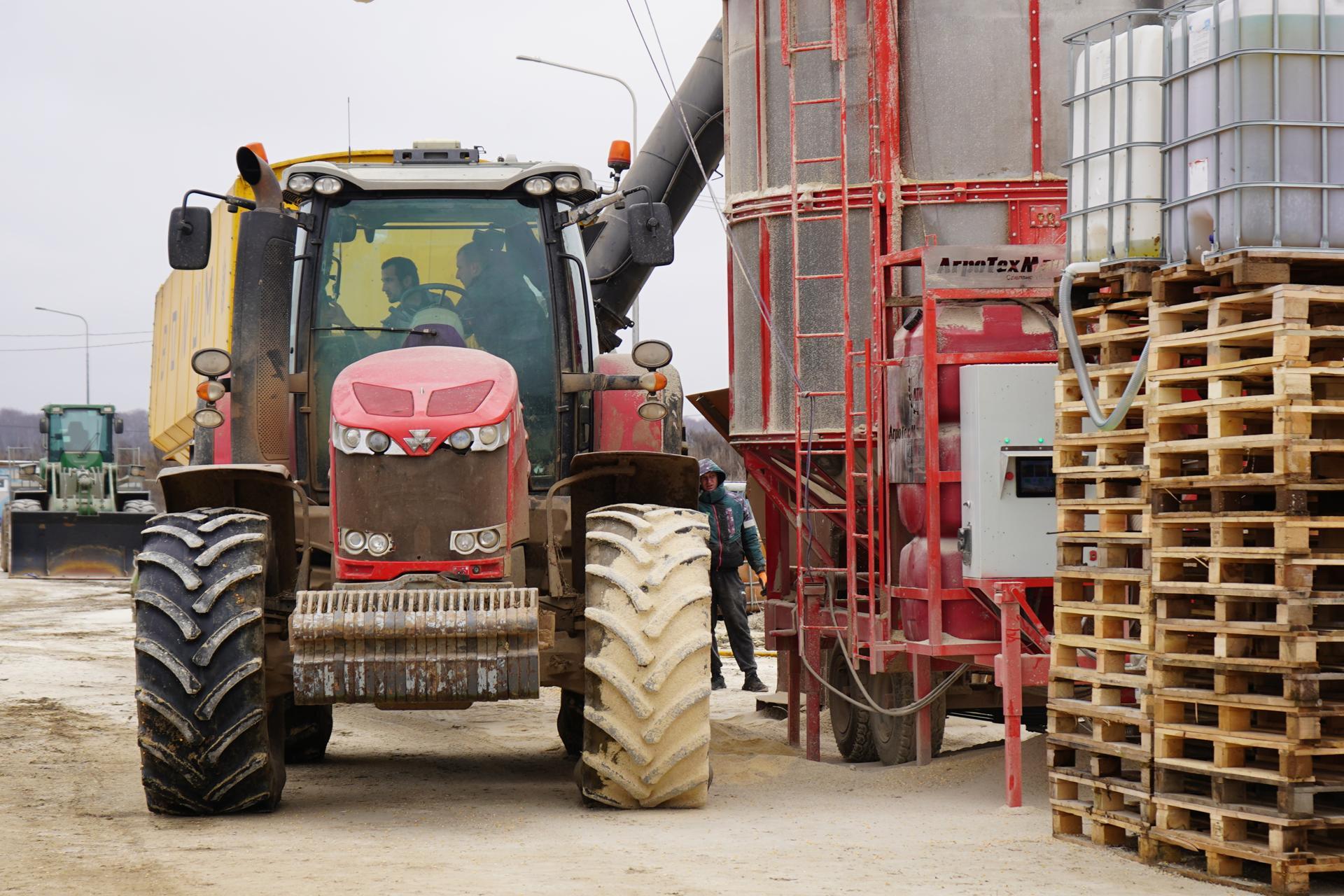 В «Ступинской Ниве» завершают работу на полях, сбор и сушку кукурузы В «Ступинской Ниве» завершают работу на полях, сбор и сушку кукурузы