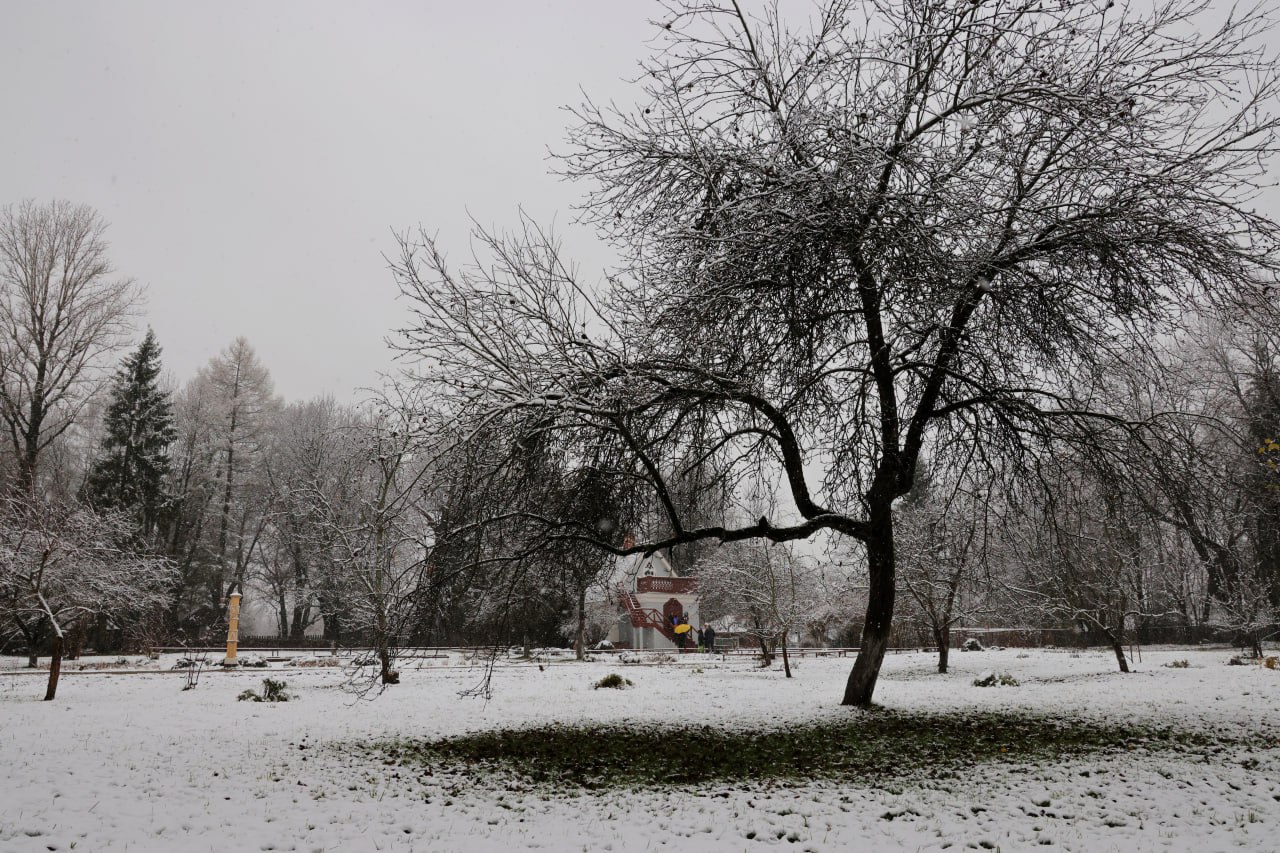 Первый снег в Мелихове! Скоро зима Первый снег в Мелихове! Скоро зима
