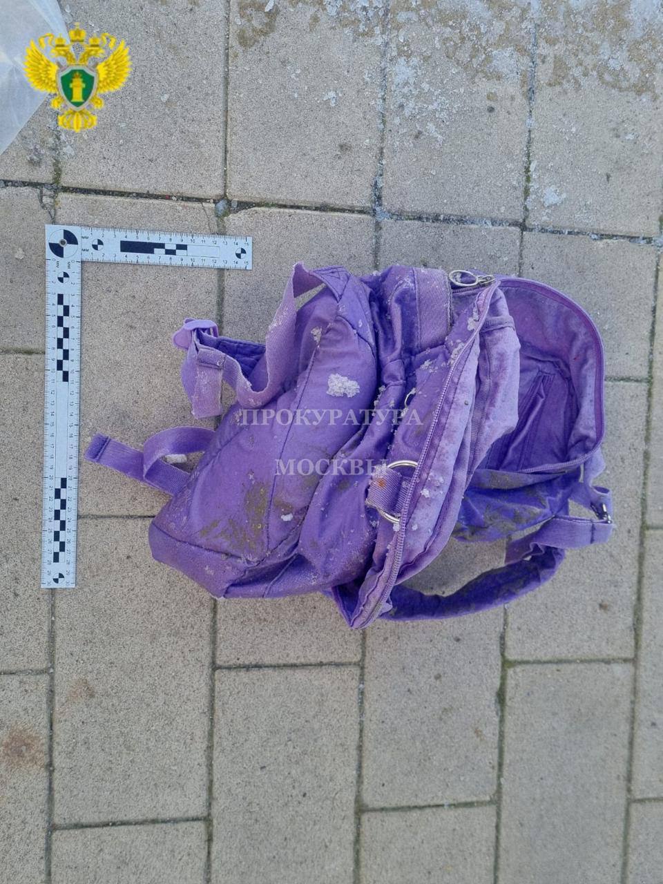 Рюкзак и пакет, в которых был обнаружен фрагмент тела, опубликовала прокуратура Рюкзак и пакет, в которых был обнаружен фрагмент тела, опубликовала прокуратура