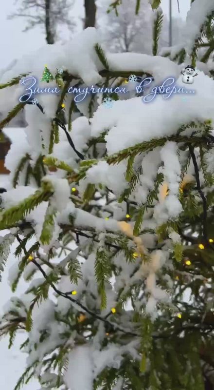 Андрей Иванов: Первый снег в парках нашего округа