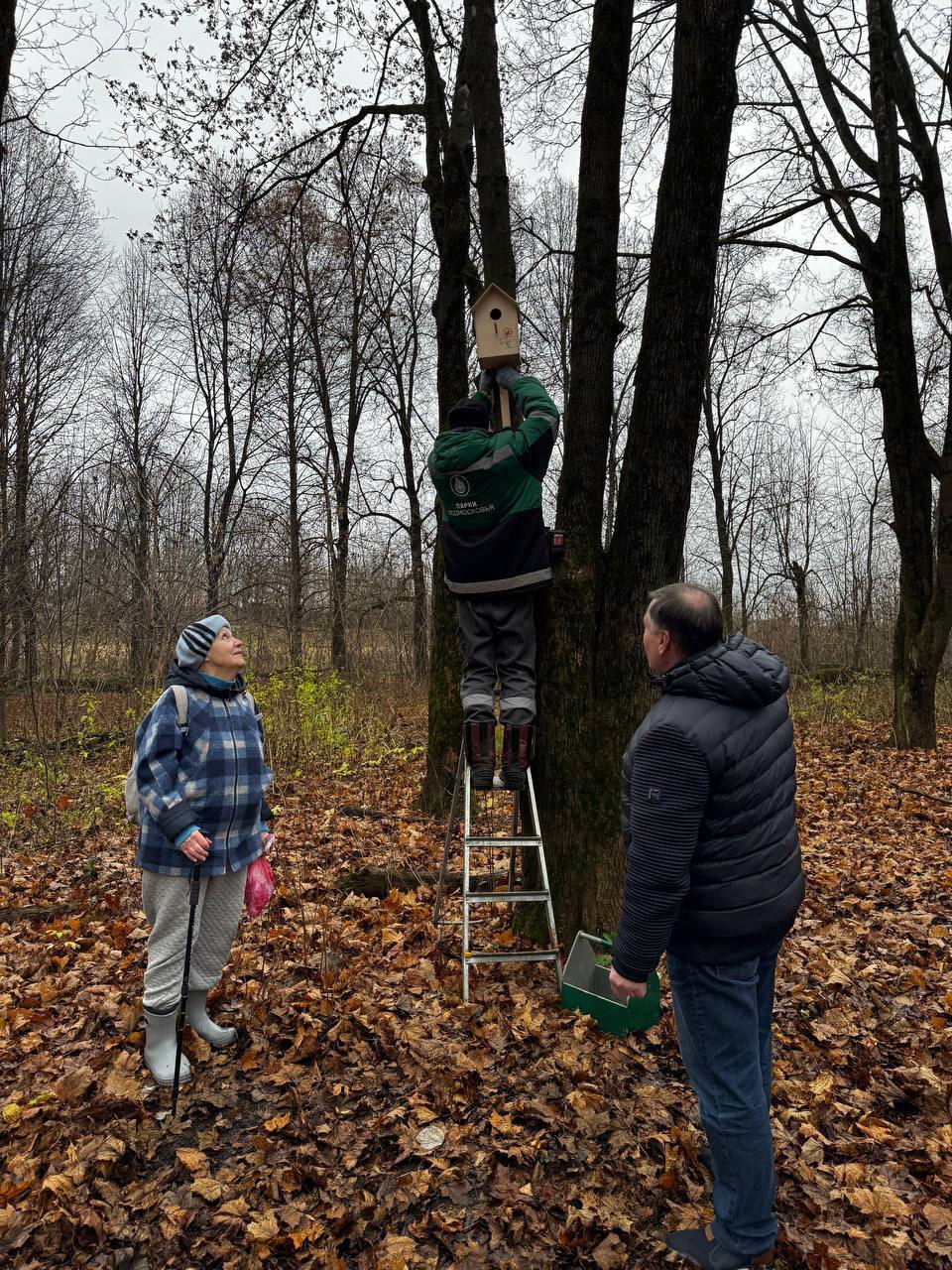 В парке на Молодёжной в Долгопрудном белкам приготовили орехи на зиму В парке на Молодёжной в Долгопрудном белкам приготовили орехи на зиму