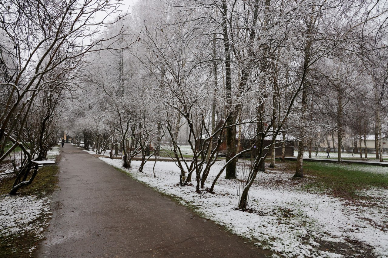 Первый снег в Мелихове! Скоро зима Первый снег в Мелихове! Скоро зима
