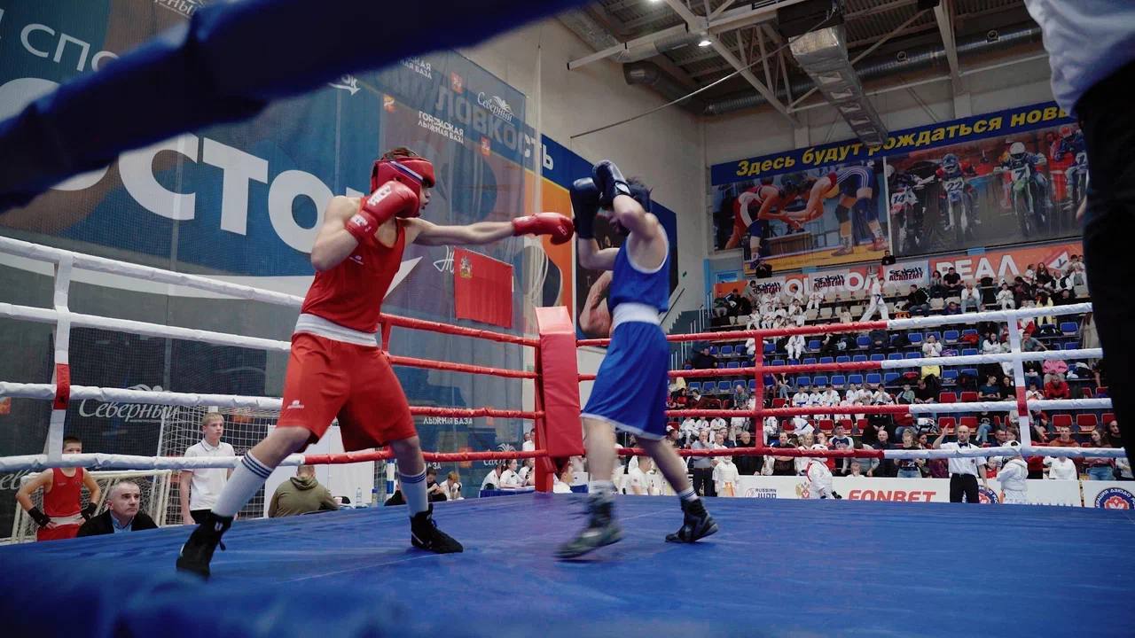 Сногсшибательный спорт!. Татами, ринг, заряженные спортсмены и активные болельщики – в Орехово-Зуеве прошел традиционный фестиваль боевых искусств «Кубок Альфа» Сногсшибательный спорт!. Татами, ринг, заряженные спортсмены и активные болельщики – в Орехово-Зуеве прошел традиционный фестиваль боевых искусств «Кубок Альфа»